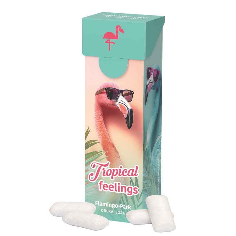 Slim Box, KoRo Menthol Kaugummi, zuckerfrei