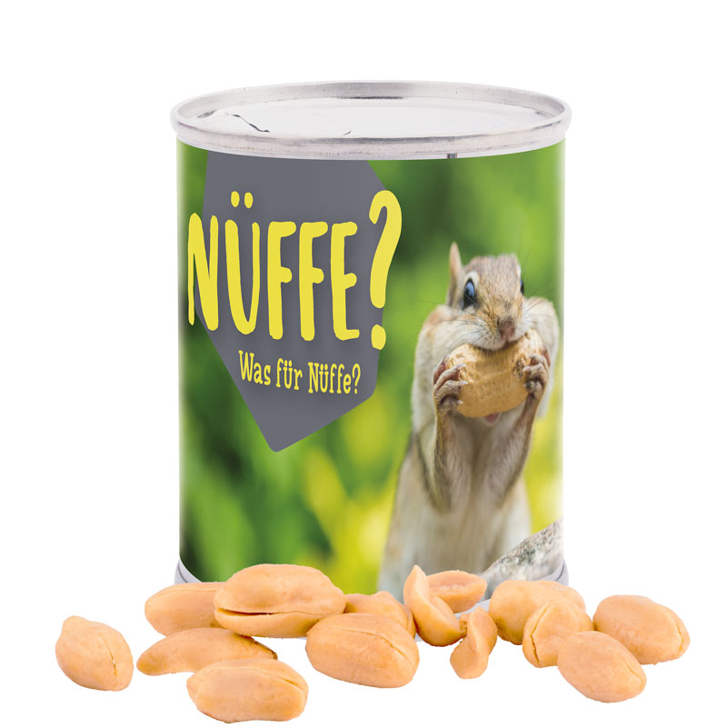Snack Dose, Erdnüsse geröstet und gesalzen